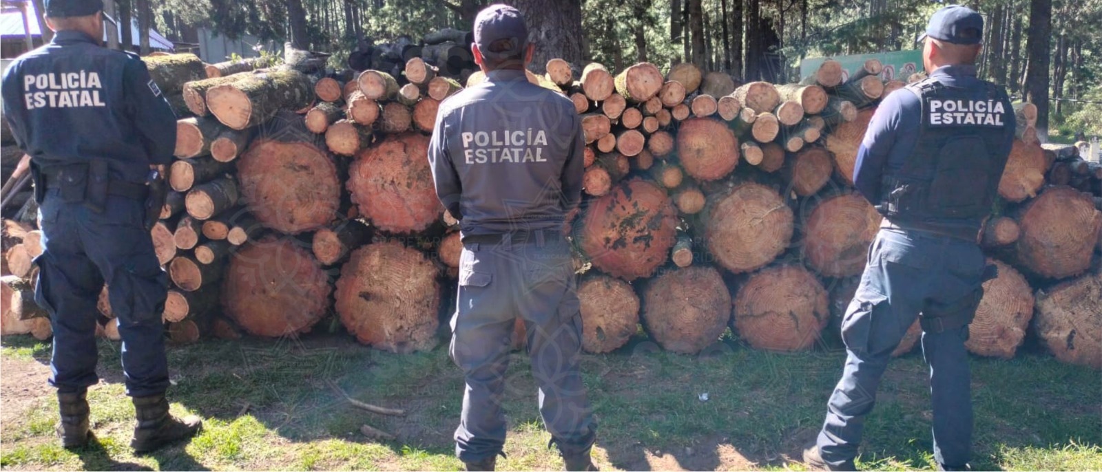 Asegura SSC material forestal en el Parque Nacional La Malinche
